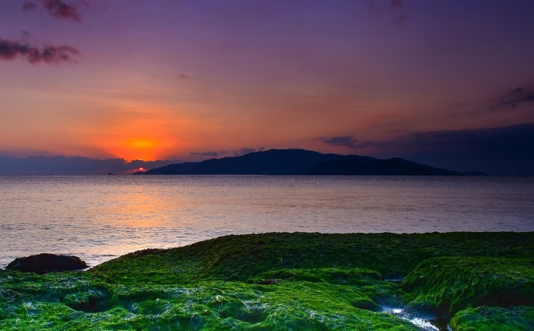 Vẻ đẹp của bãi rêu xanh 👄