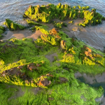 Khi bình minh đến 🐠🐠🐠