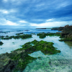 Khi bình minh đến 🐠🐠🐠